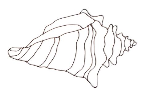 Conch Drawing at GetDrawings | Free download