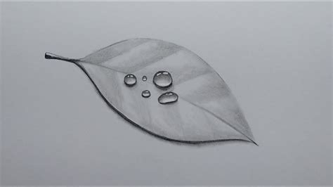 Pencil Drawing And Shading Realistic Water Drops On A Leaf - YouTube