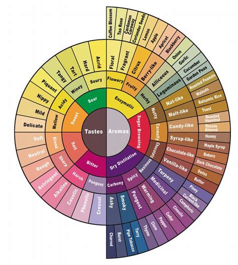 SCAA's New Coffee Flavour Wheel - Coffee Magazine