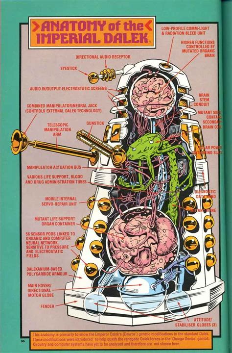 Anatomy of a dalek | Doctor Who | Doctor who dalek, Doctor who, 11th doctor