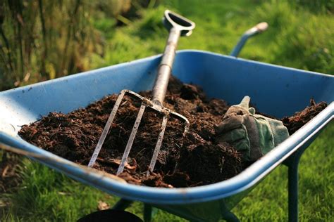 What's In Soil Conditioner - How To Use Soil Conditioner In Gardens ...