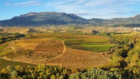 Spanish Wine Regions