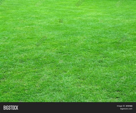 Football Field Grass Image & Photo (Free Trial) | Bigstock