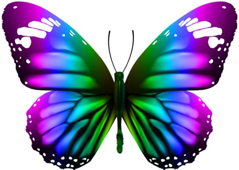 Butterfly Clip Art PNG Transparent