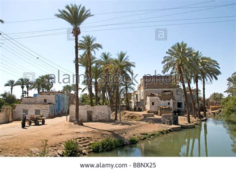 Nile River Egypt Farm Farmer Agriculture Field Old Village On The ...