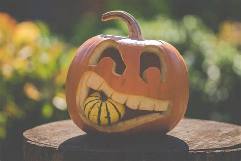 Free Images : pumpkin, calabaza, halloween, cucurbita, jack o lantern ...