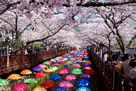 When Is the Best Time of Year to Visit South Korea?