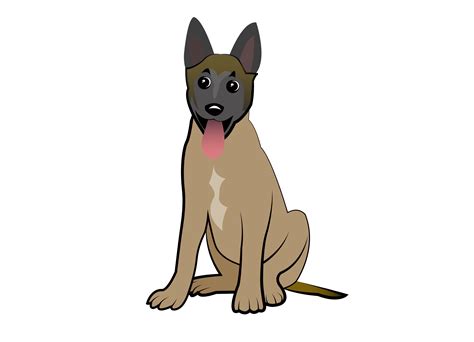 Face Belgian Malinois Drawing - img-poppy