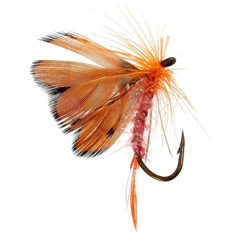 ZANLURE 48Pcs Butterfly Style Single Hook Trout Fly Fishing Flies Wet ...