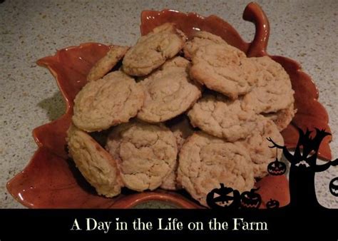 A Day in the Life on the Farm | Recipe | Zagnut candy recipe, Cookies ...