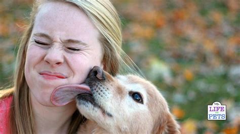 How Do You Make A Puppys Breath Smell Better