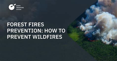 Wildfire Prevention: How To Prevent & Control Forest Fires