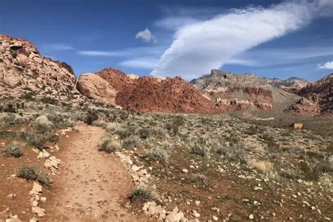 Calico Basin Trail in Las Vegas, NV Hiking Guide - Adventure Daily