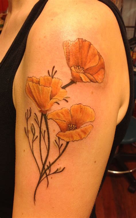 Scientific illustration inspired California Poppies Poppy Tattoo Small ...