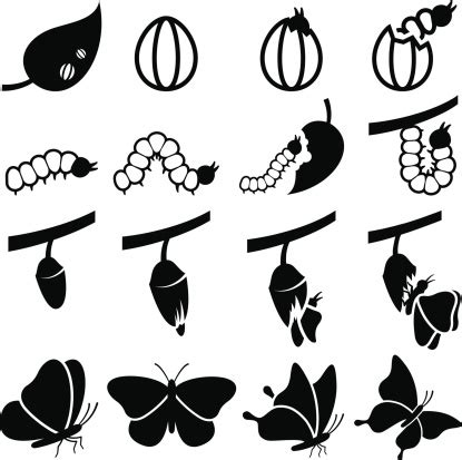 Cocoon butterfly clipart 20 free Cliparts | Download images on ...