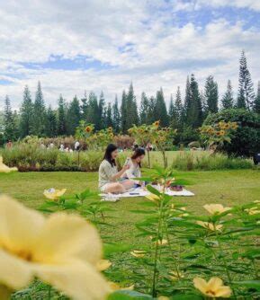 Taman Saujana Hijau: A Sprawling Park With Flower Fields In Putrajaya