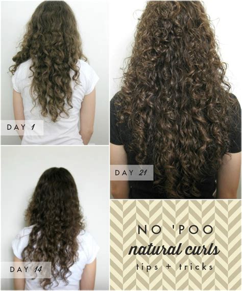 Trina Cress | Grow life.: Curly-Haired Girl's Testimonial to No 'Poo