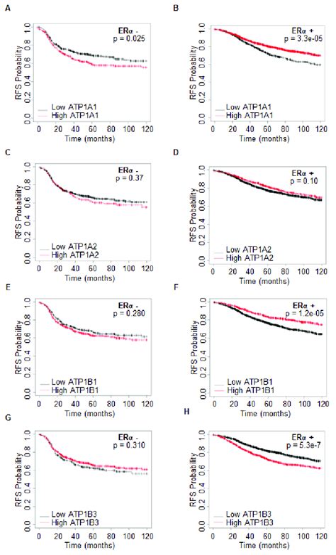 The expression of Na/K ATPase isoforms in breast cancer progression ...