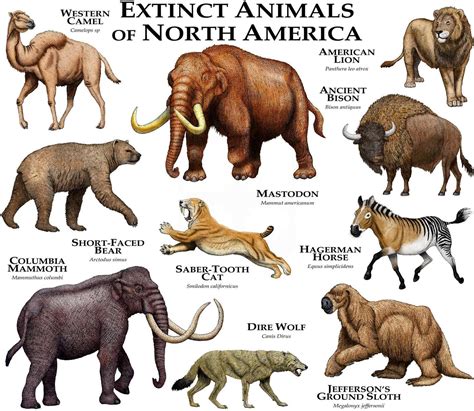 Extinct Animals List In The World