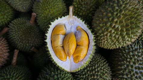 Your next Musang King durian could soon come with a SIRIM certification ...