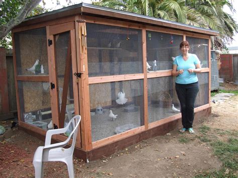 How+to+Build+Pigeon+Cages | Cheryl’s aviary keeps her pet and foster ...