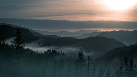 28 Mountains and Forest in Fog Wallpapers - Wallpaperboat