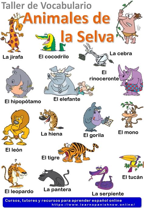 Jungle animals in Spanish - Los animales de la selva 🦒