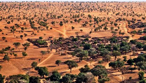 AI counts 1.8 billion trees in Sahara Desert - Futurity