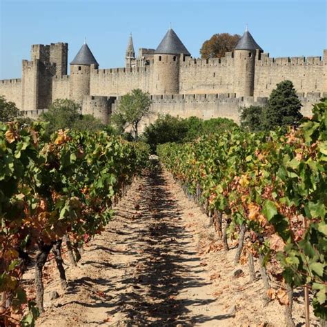 Your 2024 guide to Languedoc-Roussillon wine region | Winetourism.com