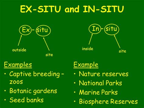 EX- SITU CONSERVATION STRATEGIES