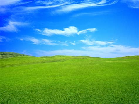 Grass And Sky Wallpaper Hd