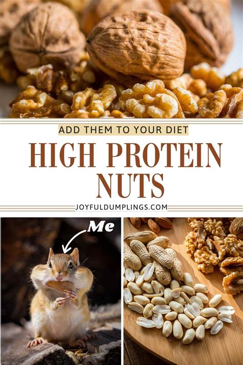 8 Best High Protein Nuts and Seeds for Snacking » Joyful Dumplings