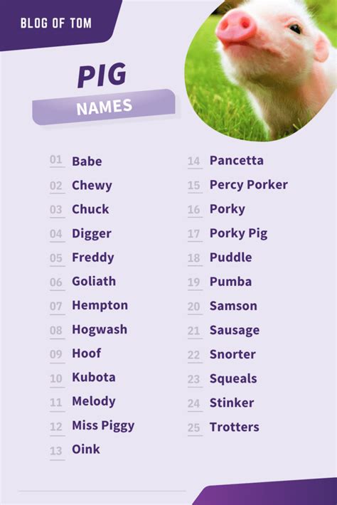 Pig Names (861 Best, Funny & Cute Ideas) - Blog Of Tom