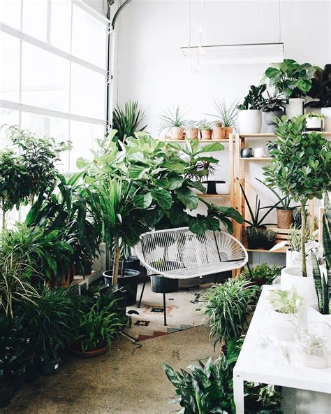 30 of the Cutest Plant Shops Around the World