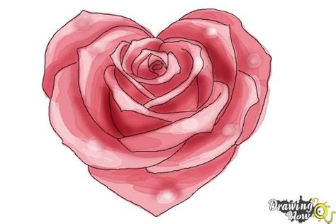 28 DRAWING EASY ROSES STEP BY STEP - * Draw