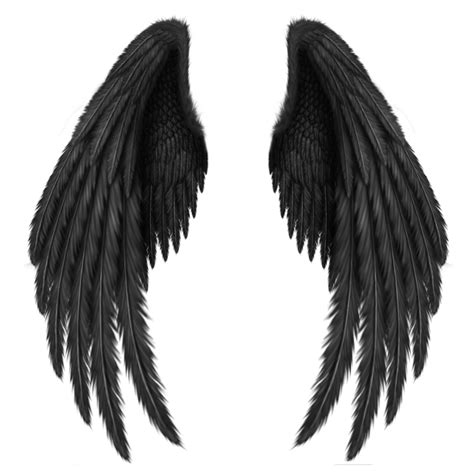 Black Angel Wings Png