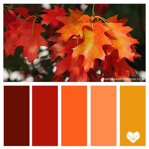 Color Palette: The Seasons — Paper Heart Design