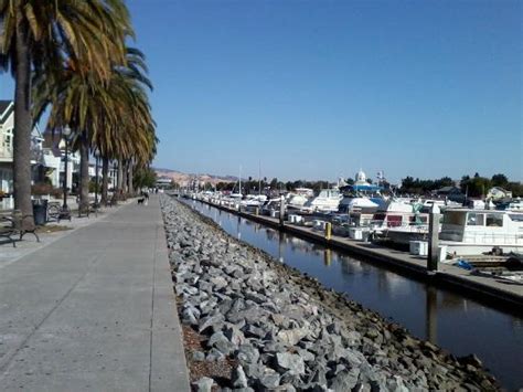 Looking out the window. - Picture of Hampton Inn and Suites Suisun City ...