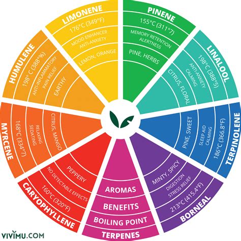 Terpene Chart: Learn More About Terpenes Here | Vivimu