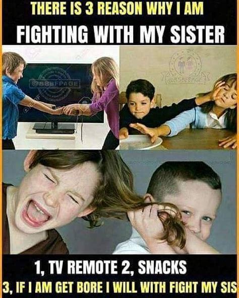 Funny Quotes About Brothers And Sisters Fighting - ShortQuotes.cc