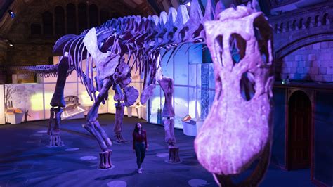 Replica of world's biggest ever dinosaur weighing 57 tonnes going on ...