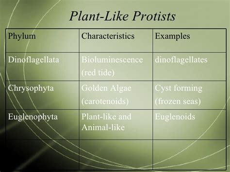 Protists