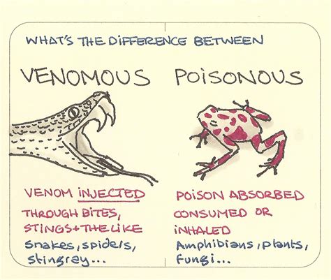 Venomous, poisonous - what’s the difference - Sketchplanations