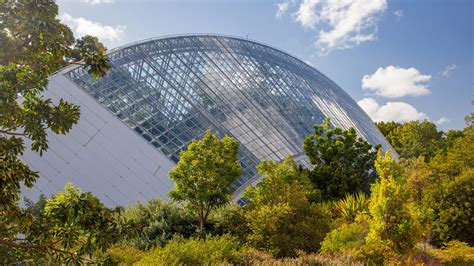 Explore the Beauty of Adelaide Botanic Gardens