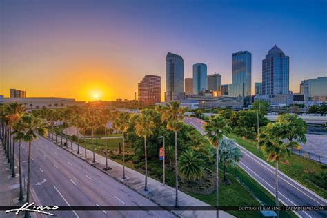 Tampa Skyline Sunset Through Palm Tree | HDR Photography by Captain Kimo