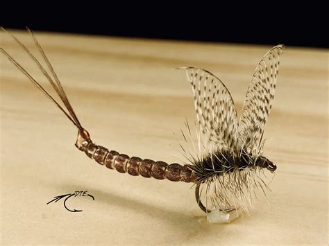 Extended body Mayfly | Fly fishing tattoo, Fly tying patterns, Fly fishing