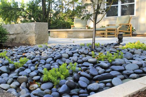 Modern Low-Water Garden: 5 Drought-Tolerant Landscaping Ideas – Abbot ...