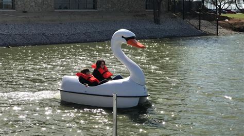 Swan paddle boat attraction opens at... | KTXS