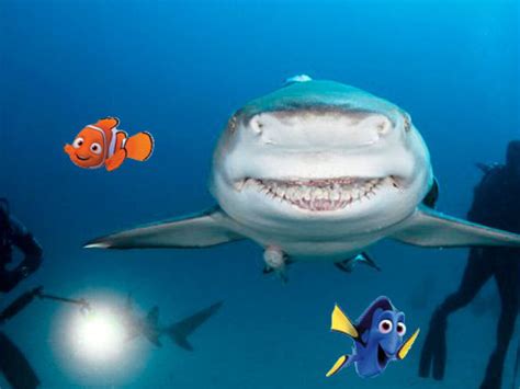 Alienation Arrow Dazzling bruce the shark finding nemo legal liter ...