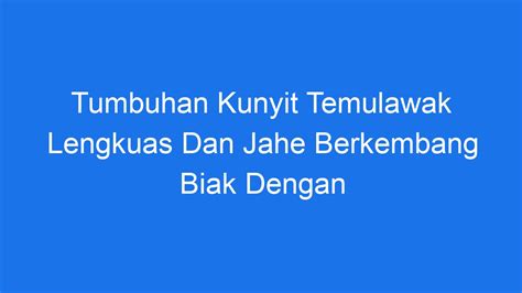 Tumbuhan Kunyit Temulawak Lengkuas Dan Jahe Berkembang Biak Dengan